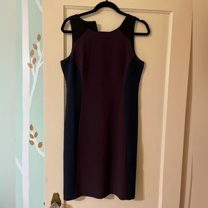 Beautiful fitted Sheath dress with flattering lines and colors.